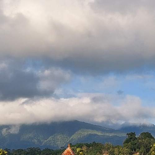 Фотография #8717240