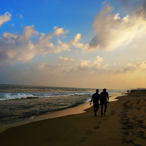 Photo #8717392