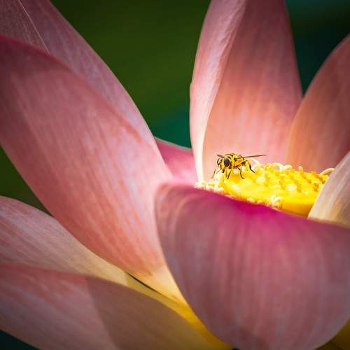 Photo #8717698
