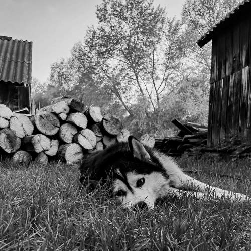 Photo #8718054