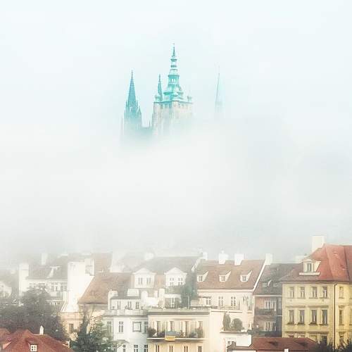 Photo #8718189