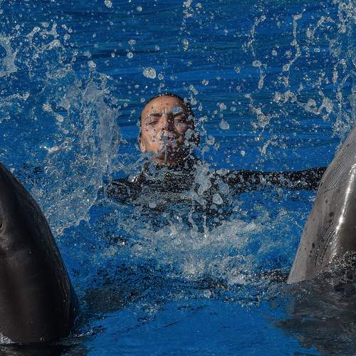 Photo #8718200