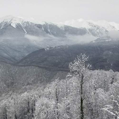 Photo #8718364