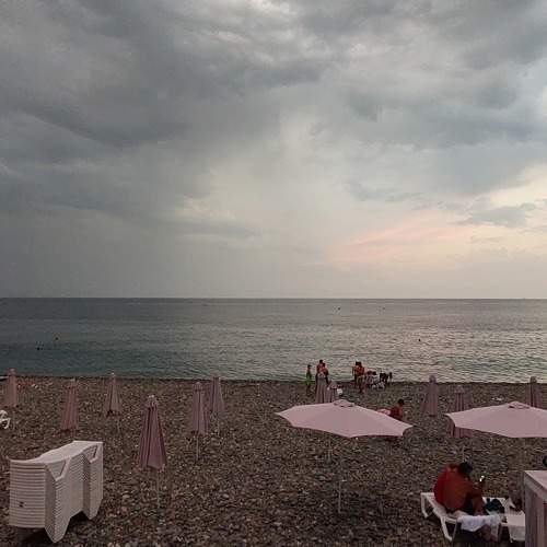 Photo #8718447