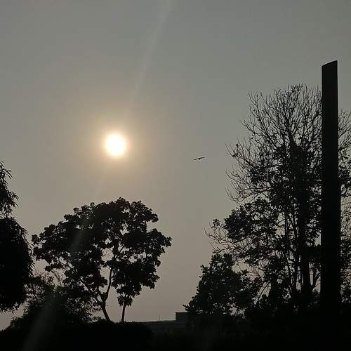 Photo #8718559