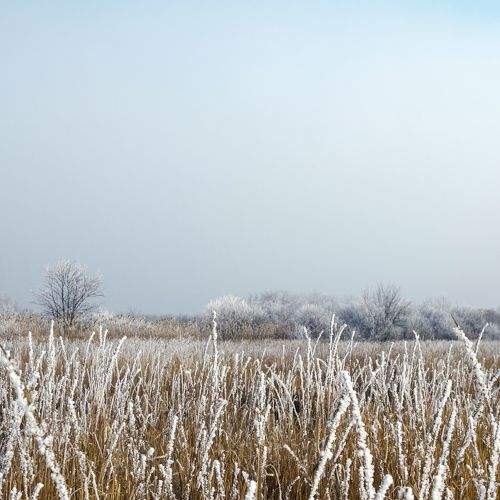 Photo #8718654
