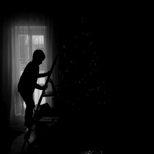 Photo #8718715