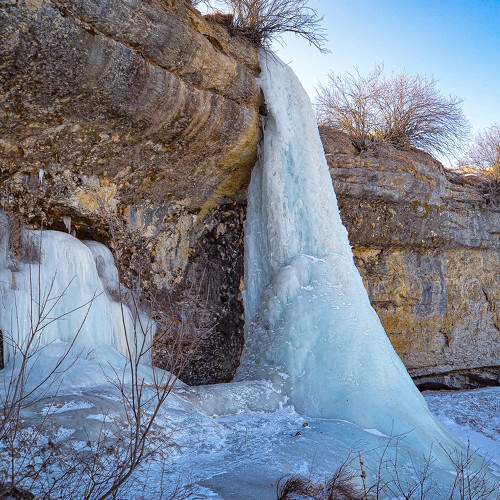 Photo #8718817