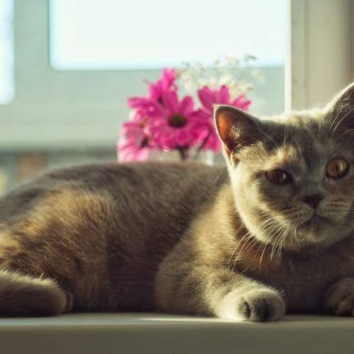 Photo #8718871