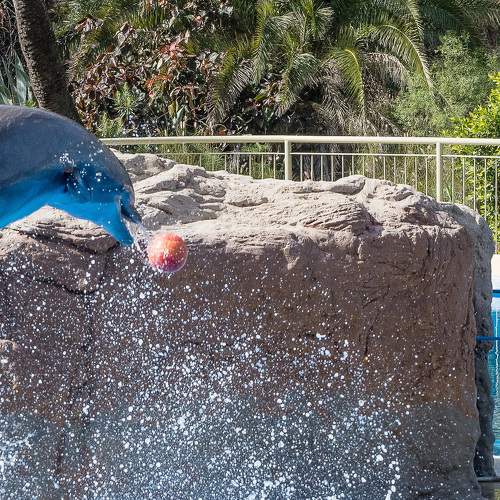 Photo #8718895