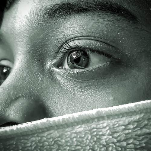 Photo #8718944