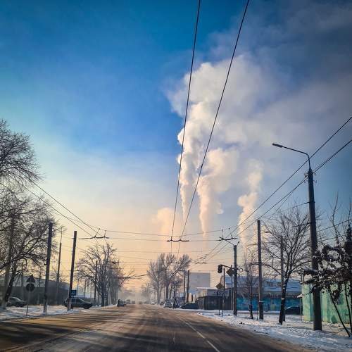 Photo #8718964