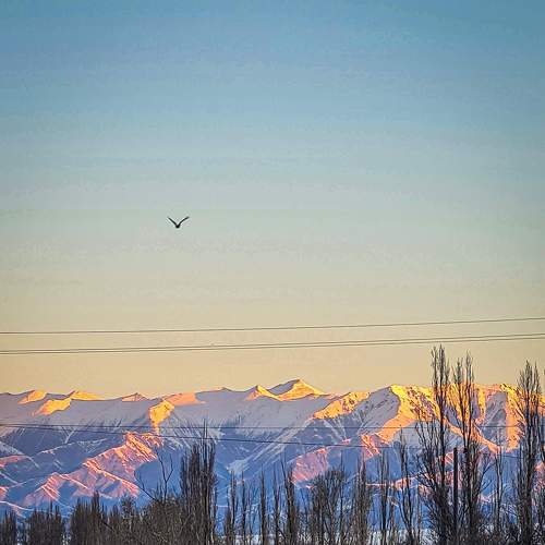 Photo #8718965
