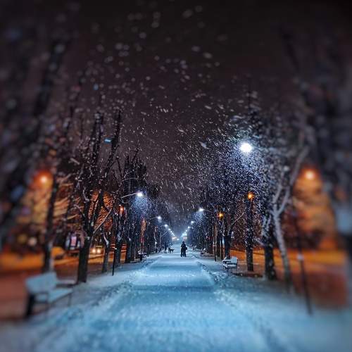Photo #8719016