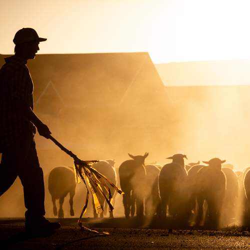 Фотография #8719051