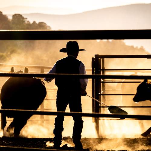 Фотография #8719054