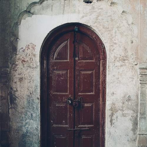 Photo #8719165