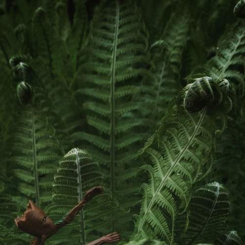 Photo #8719196