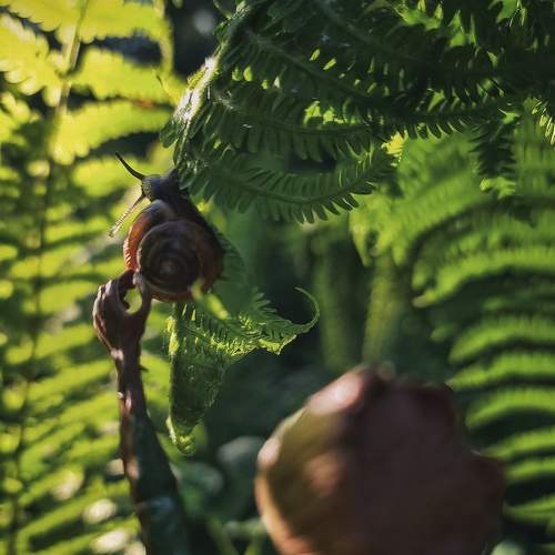 Photo #8719197