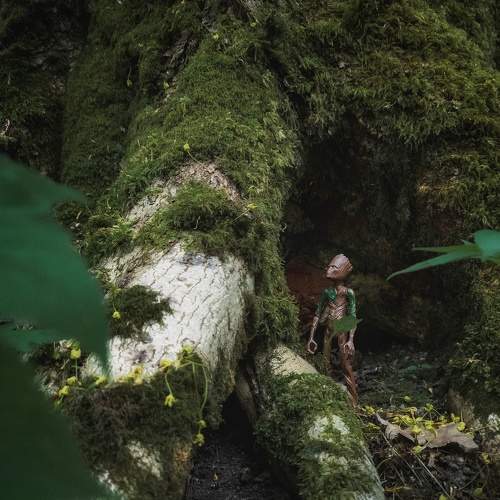 Photo #8719225