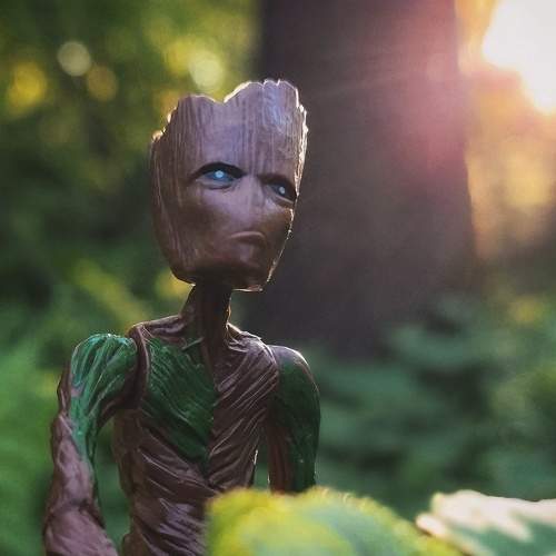 Photo #8719364