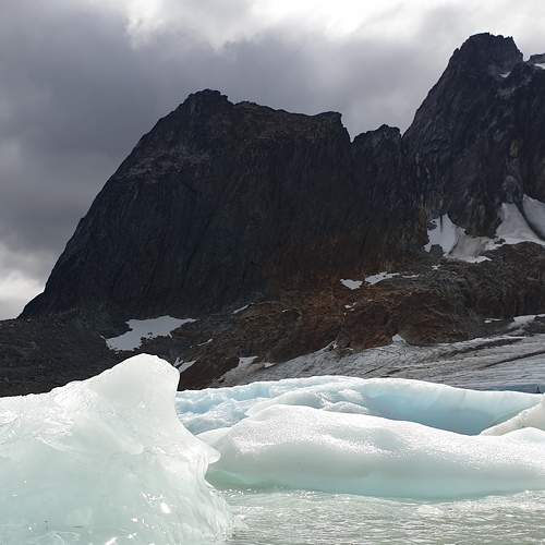 Photo #8719707