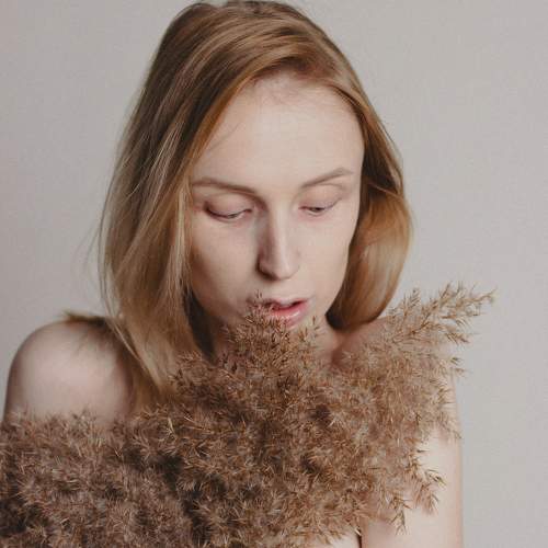 Photo #8719905