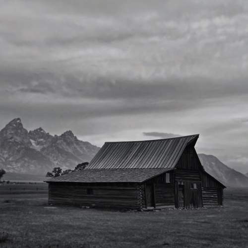 Photo #8719958