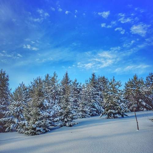 Photo #8720020