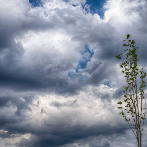 Photo #8720099