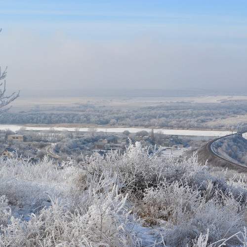 Photo #8720571