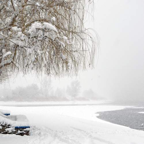 Photo #8720788