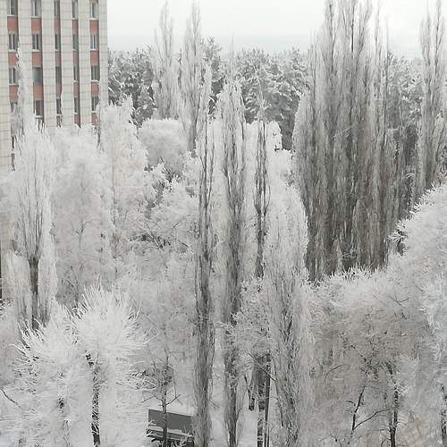 Photo #8720812
