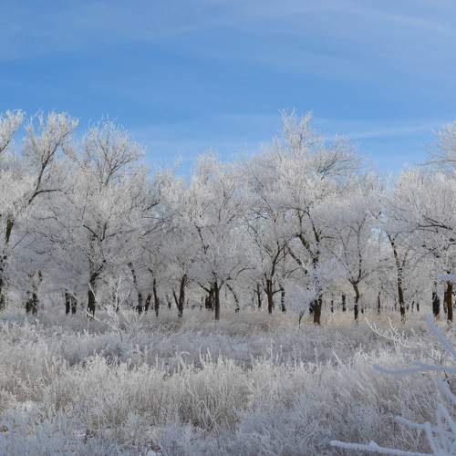 Photo #8720823