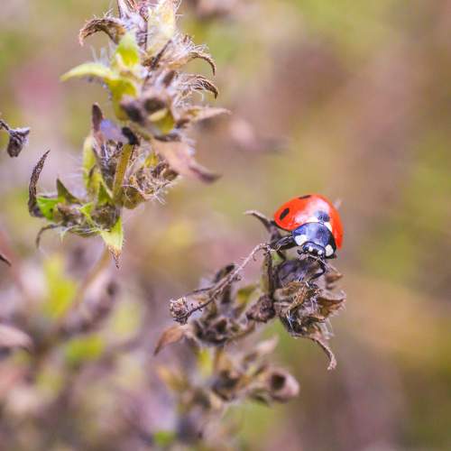 Photo #8720853