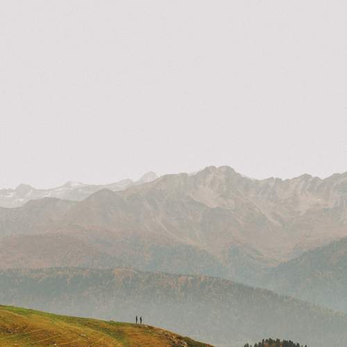 Photo #8721274