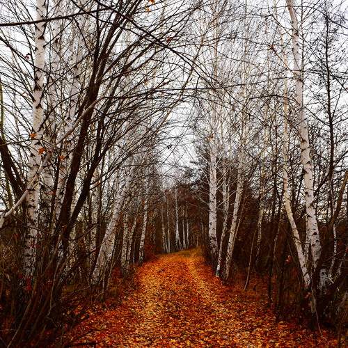 Photo #8721453
