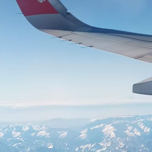 Photo #8721582