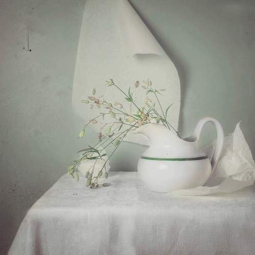 Photo #8721671