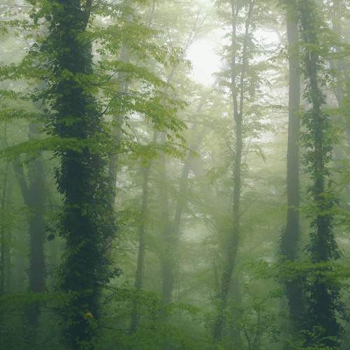 Photo #8721810