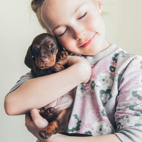 Photo #8721817