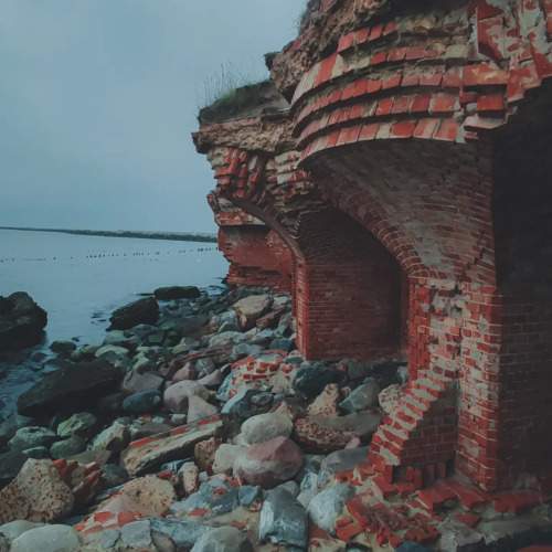 Photo #8721902