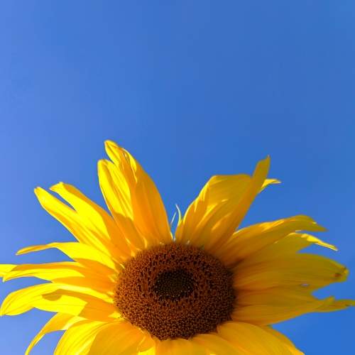 Photo #8722110