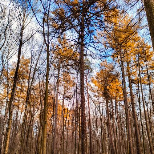 Photo #8722170