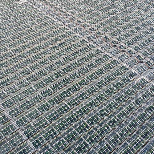 Photo #8722209