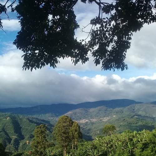 Photo #8722450