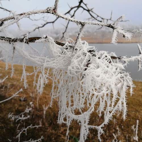 Photo #8722649