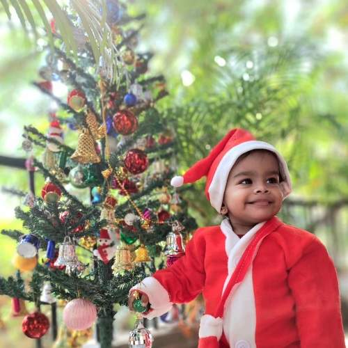 Photo #8722829