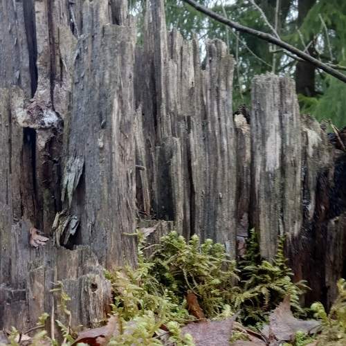 Photo #8722896