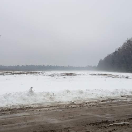 Photo #8722909